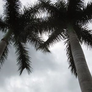 Meet your Posher, Tova